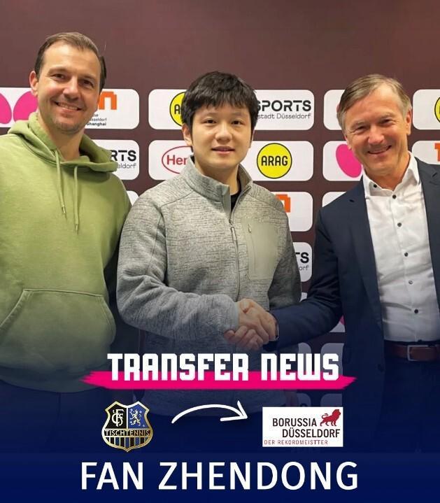 必一运动官网app-赛季结束后离队！樊振东确认将转会，下赛季携手邱党继续征战德甲